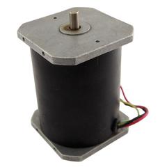 DL3000/1000 Motor 110V