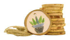 Wood Slice Ornament Kit 